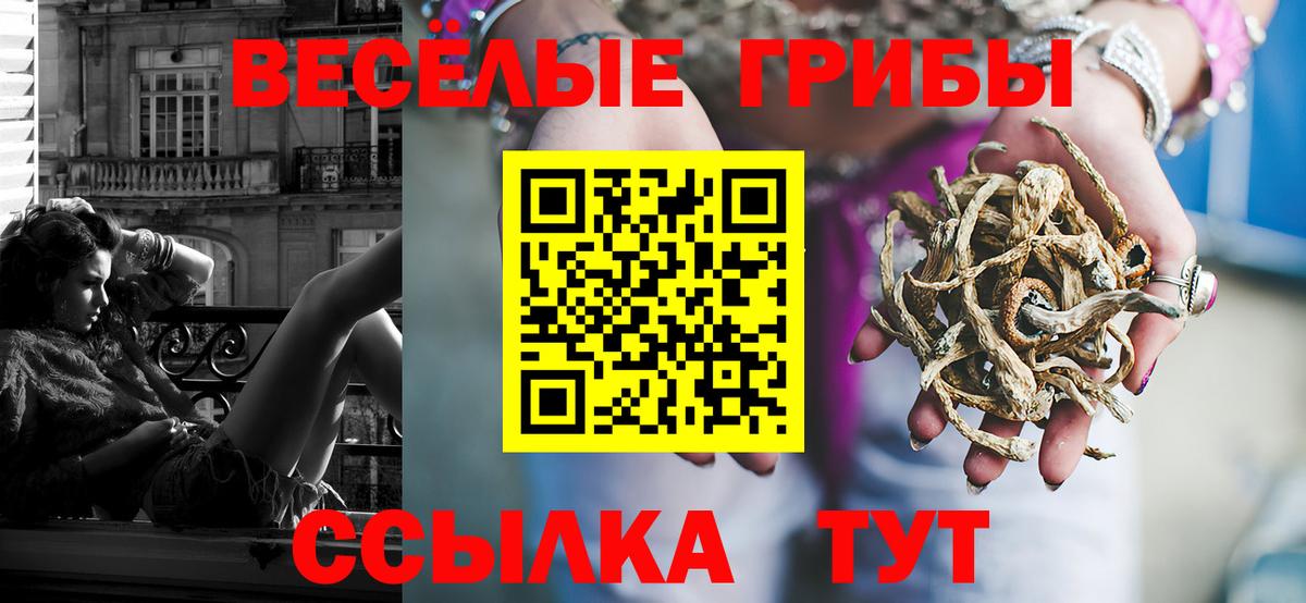 Псилоцибиновые грибы Cubensis  закладка  Галлюциногенные грибы Psilocybine cubensis  Богородск  Вход с VPN 